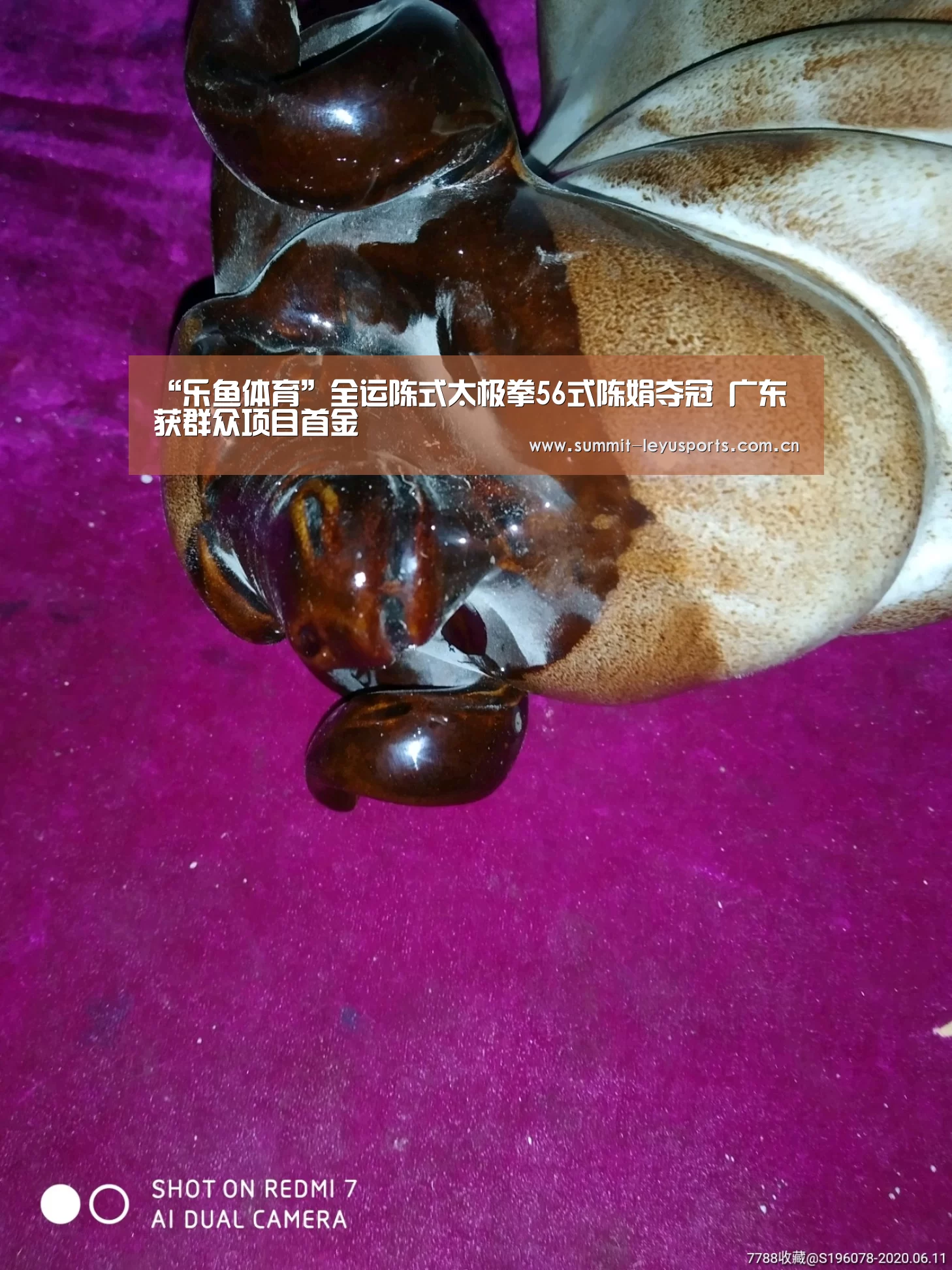“乐鱼体育”全运陈式太极拳56式陈娟夺冠 广东获群众项目首金(图1) 乐鱼