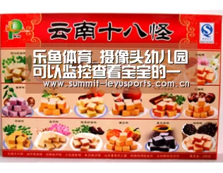 乐鱼体育_摄像头幼儿园可以监控查看宝宝的一切,您赞成吗?(图2) 乐鱼体育_摄像头幼儿园可以监控查看宝宝的一切,您赞成吗?(图2)