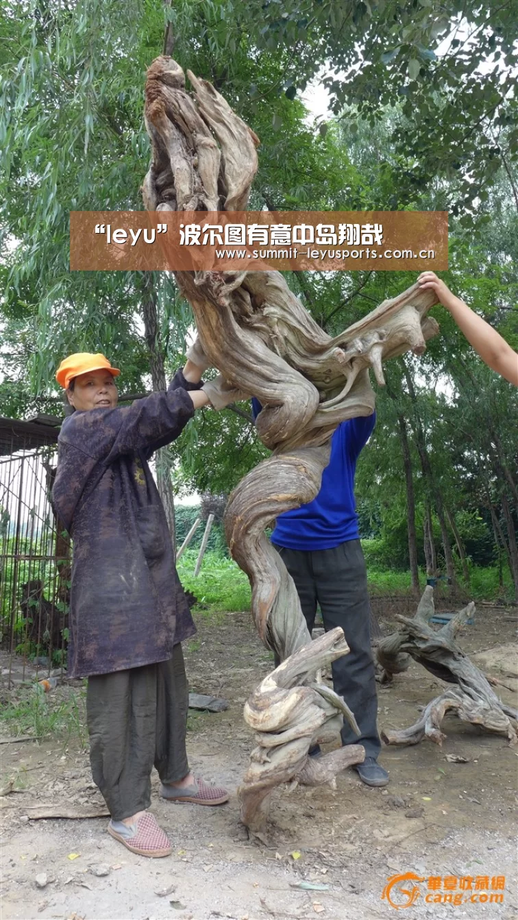 “leyu”波尔图有意中岛翔哉(图2) 乐鱼