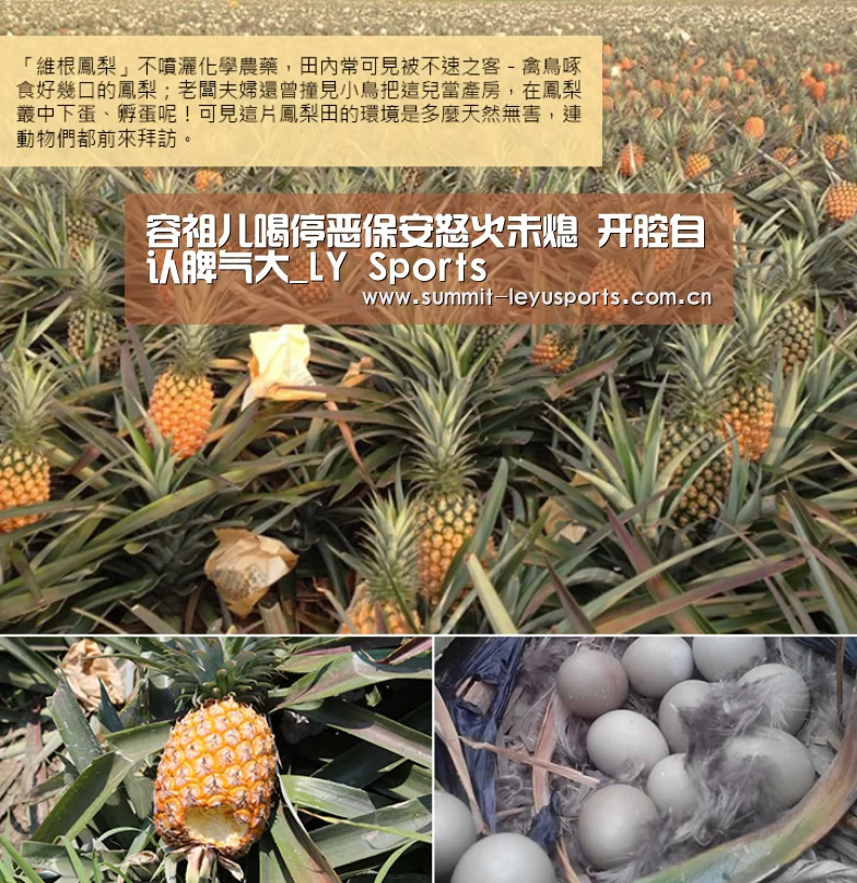 容祖儿喝停恶保安怒火未熄 开腔自认脾气大_LY Sports(图1)