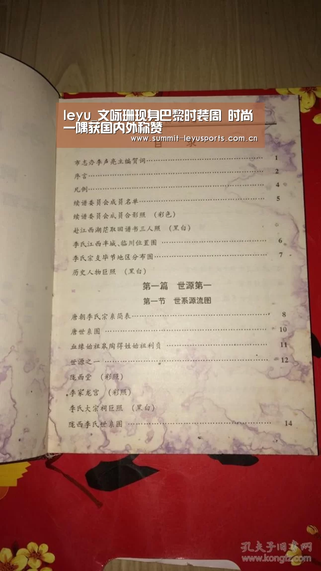 leyu_文咏珊现身巴黎时装周 时尚一隅获国内外称赞(图1) 乐鱼体育