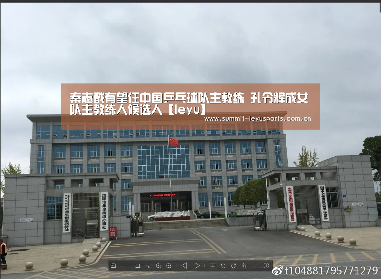 乐鱼